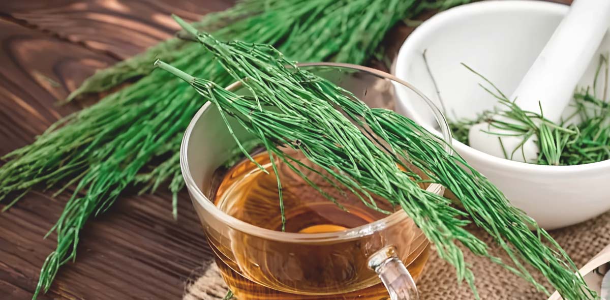 Extracto de cola de caballo para el cuidado de los riñones