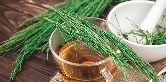 Extracto de cola de caballo para el cuidado de los riñones