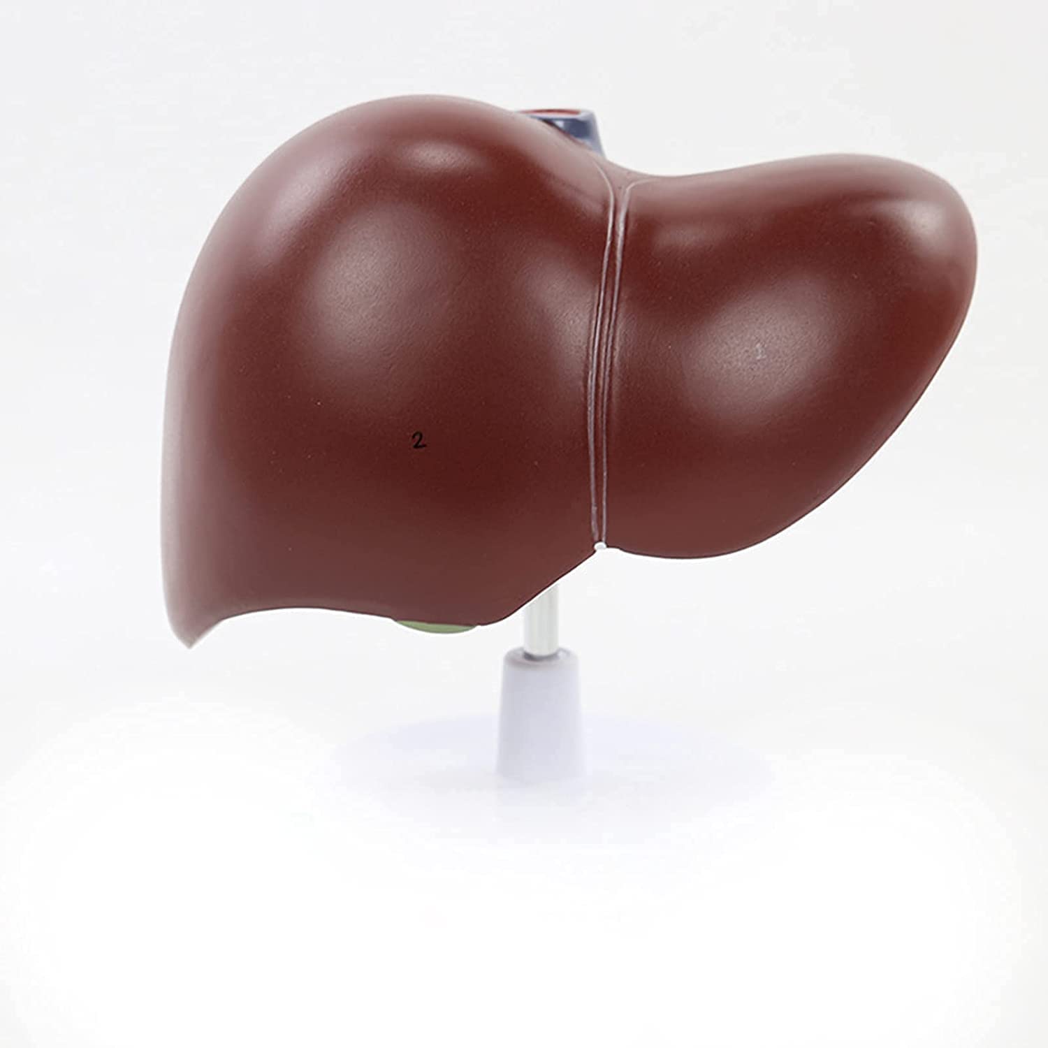 Suplementos para el cuidado del hígado