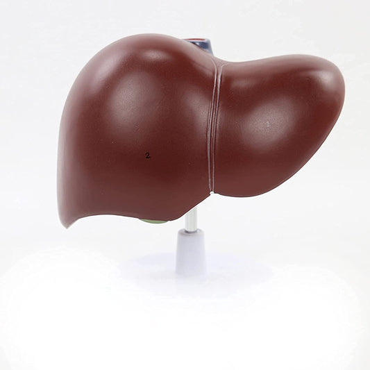 Suplementos para el cuidado del hígado