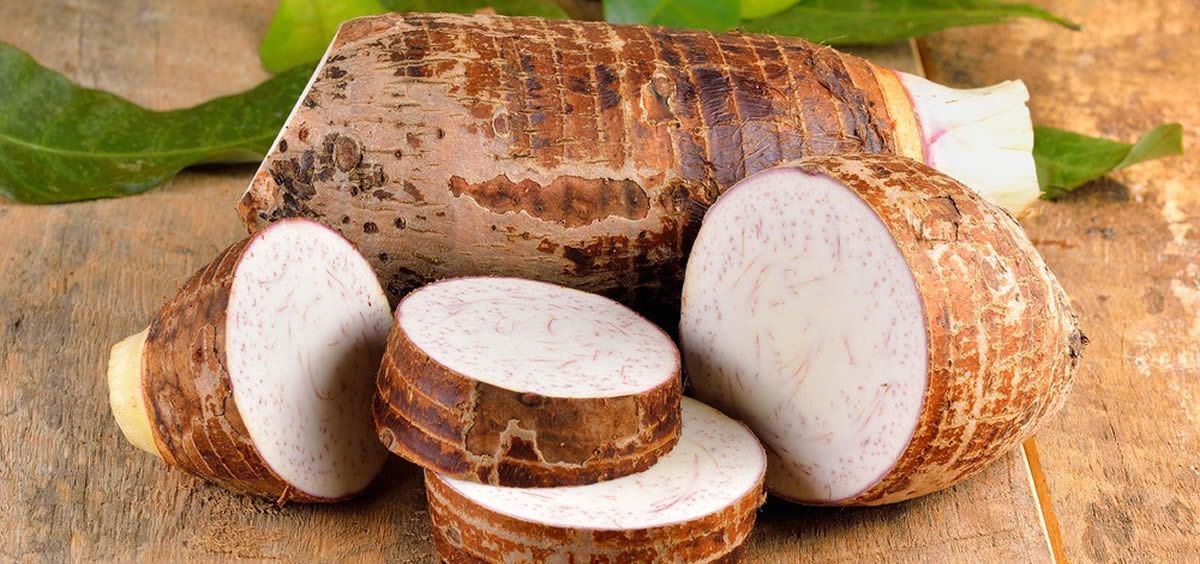 Camote silvestre: aliado natural para la salud femenina