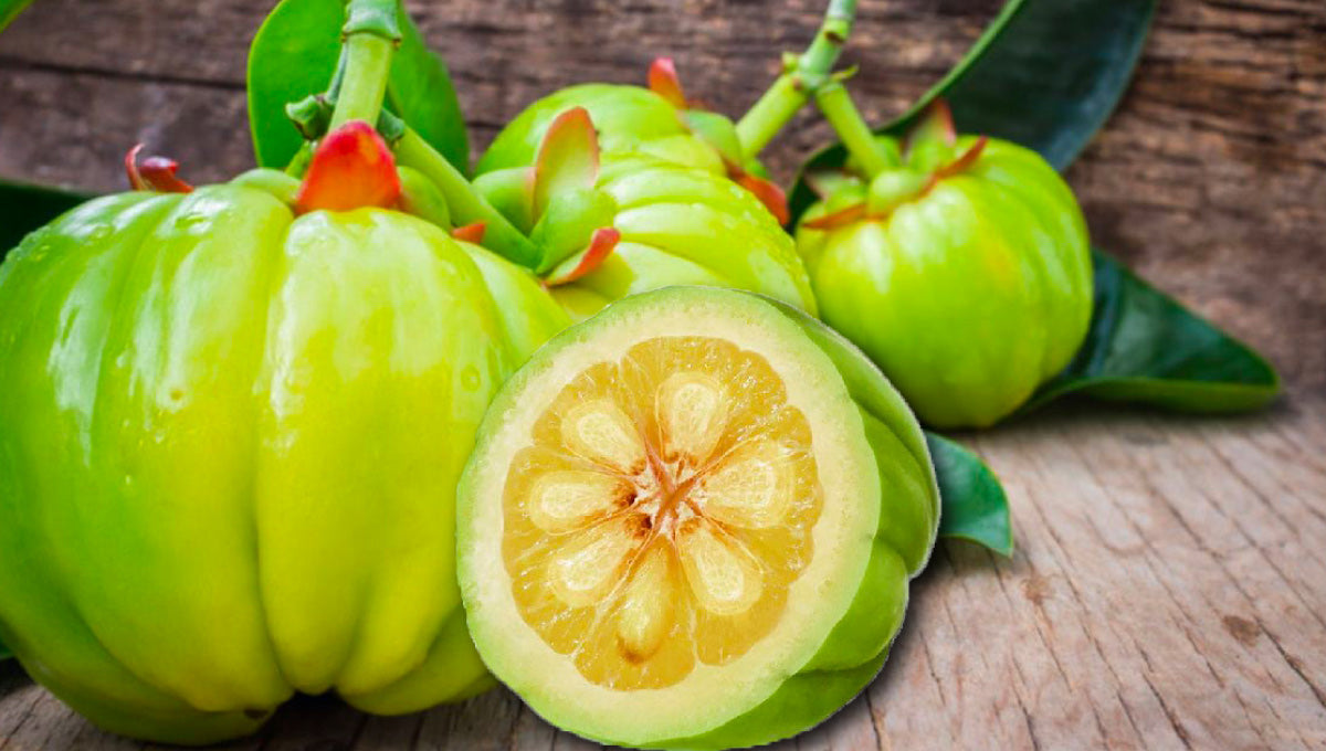 ¿Ayuda la garcinia cambogia para la pérdida de peso?