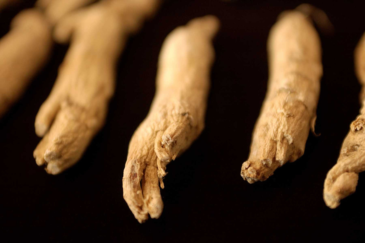 Ginseng para la salud sexual